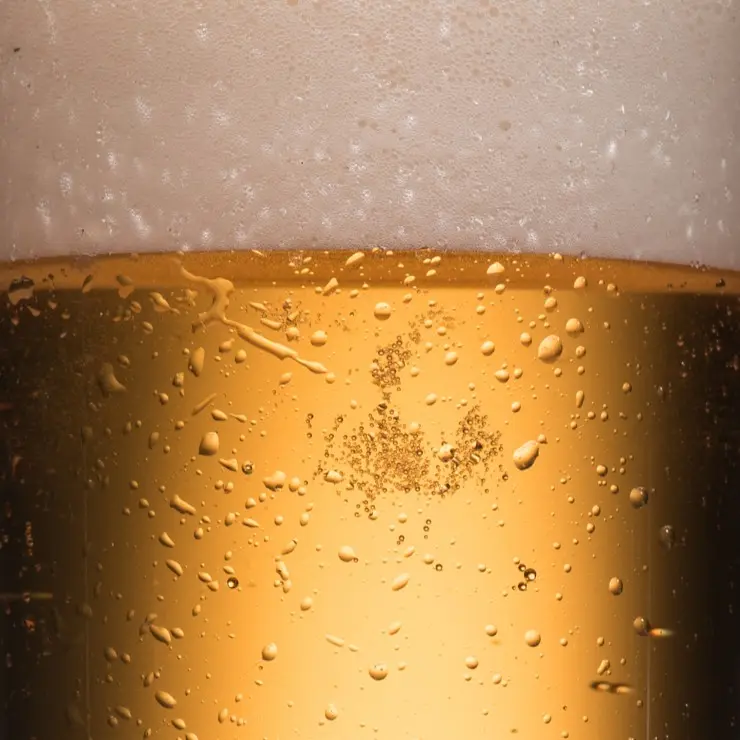 Lager-webp Lager öl